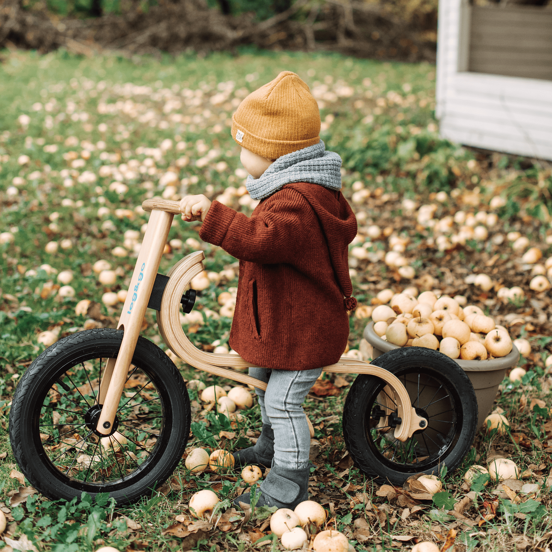 Balance Bike 3in1 Laufrad aus Holz - LeoBabys
