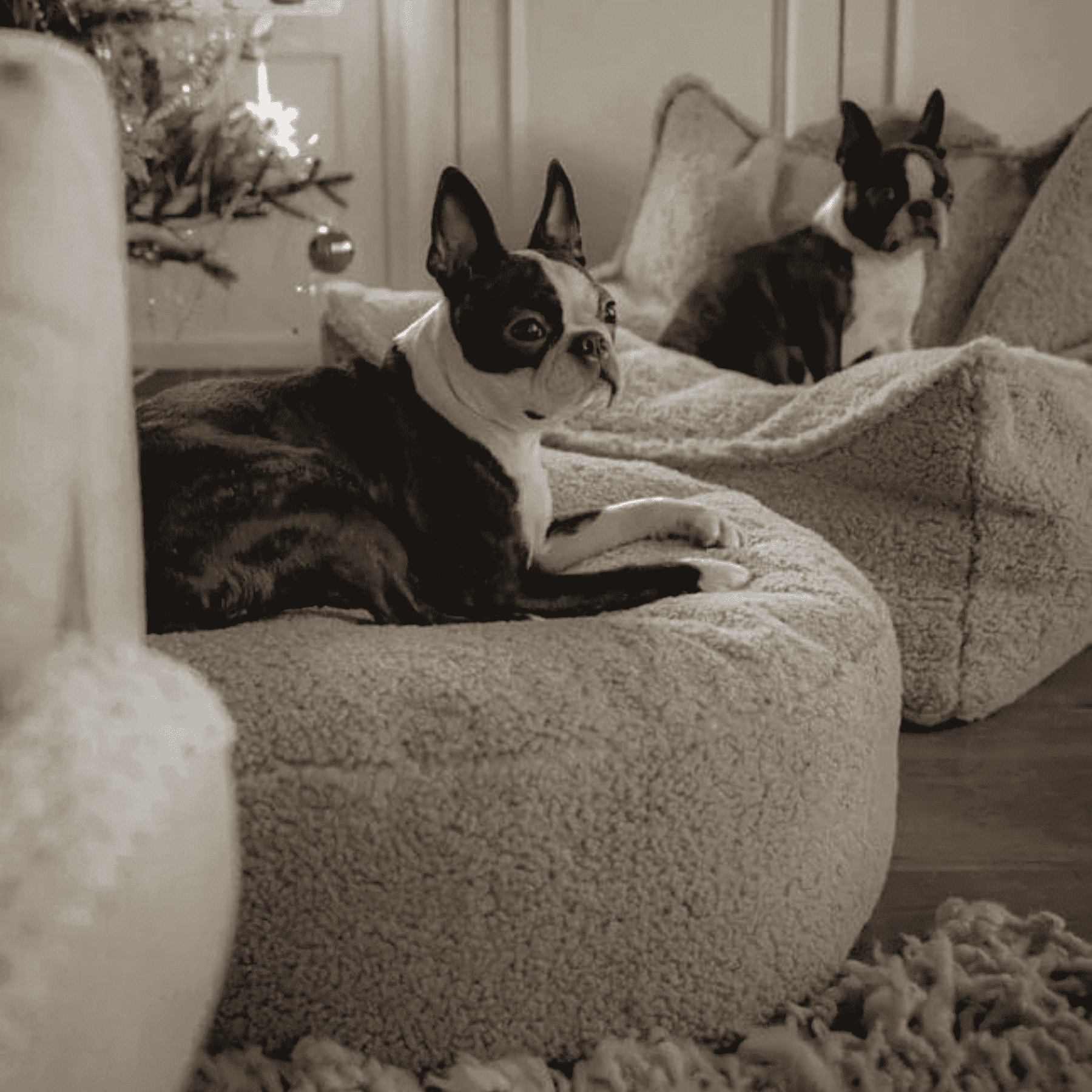 Kinder-Sitzkissen aus Teddy I wigiwama - LeoBabys