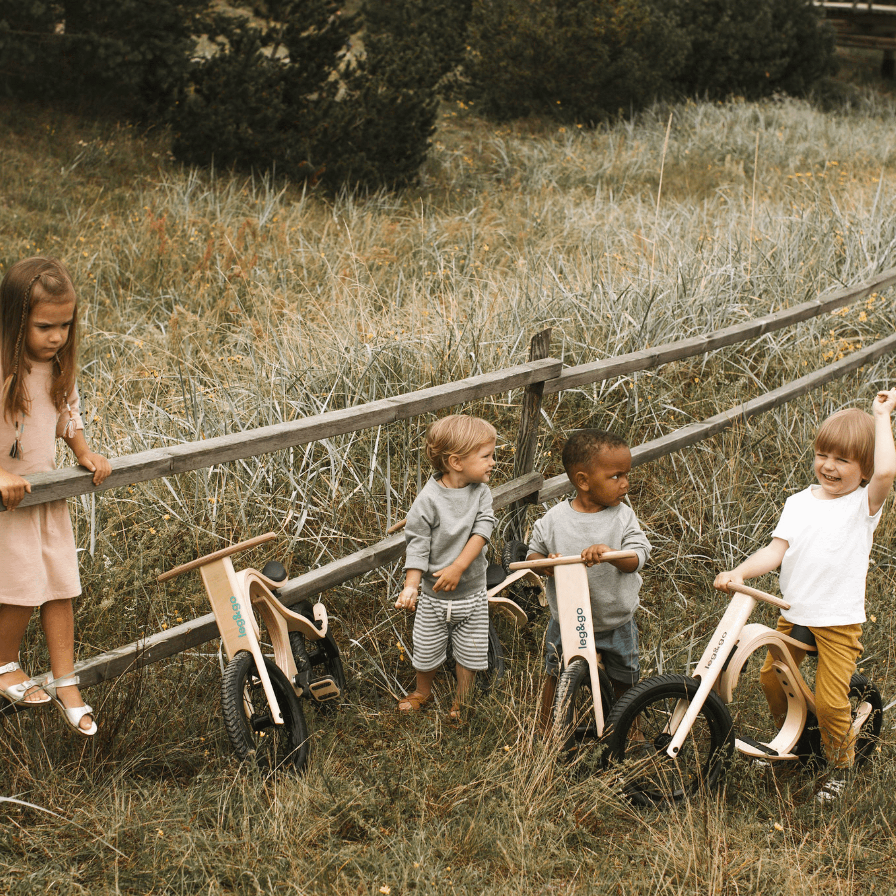 Pedale Erweiterung für Balance Bike 3in1 - LeoBabys