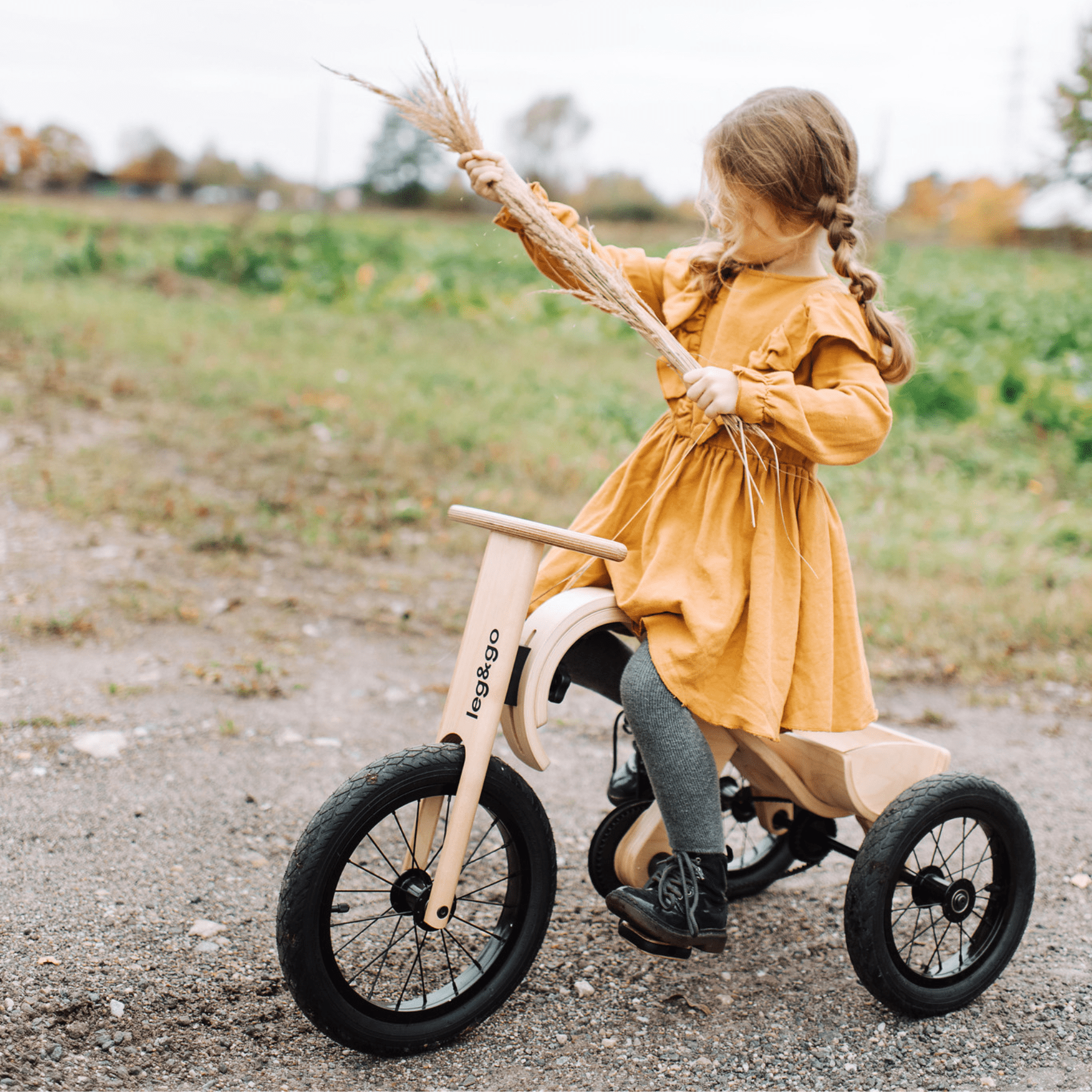 Dreirad Erweiterung für Balance Bike 3in1 - LeoBabys