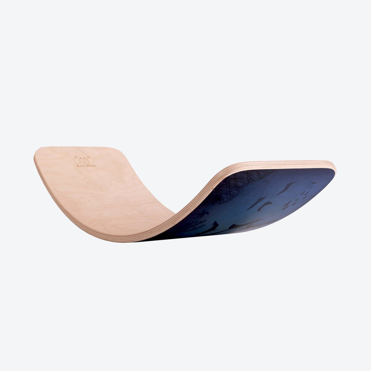 Balance Board Wobbel Board Blau - LeoBabys